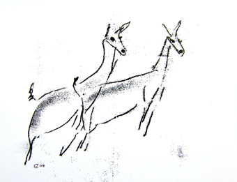 An outline drawing two alert deer by artist Jilly Cobbe
