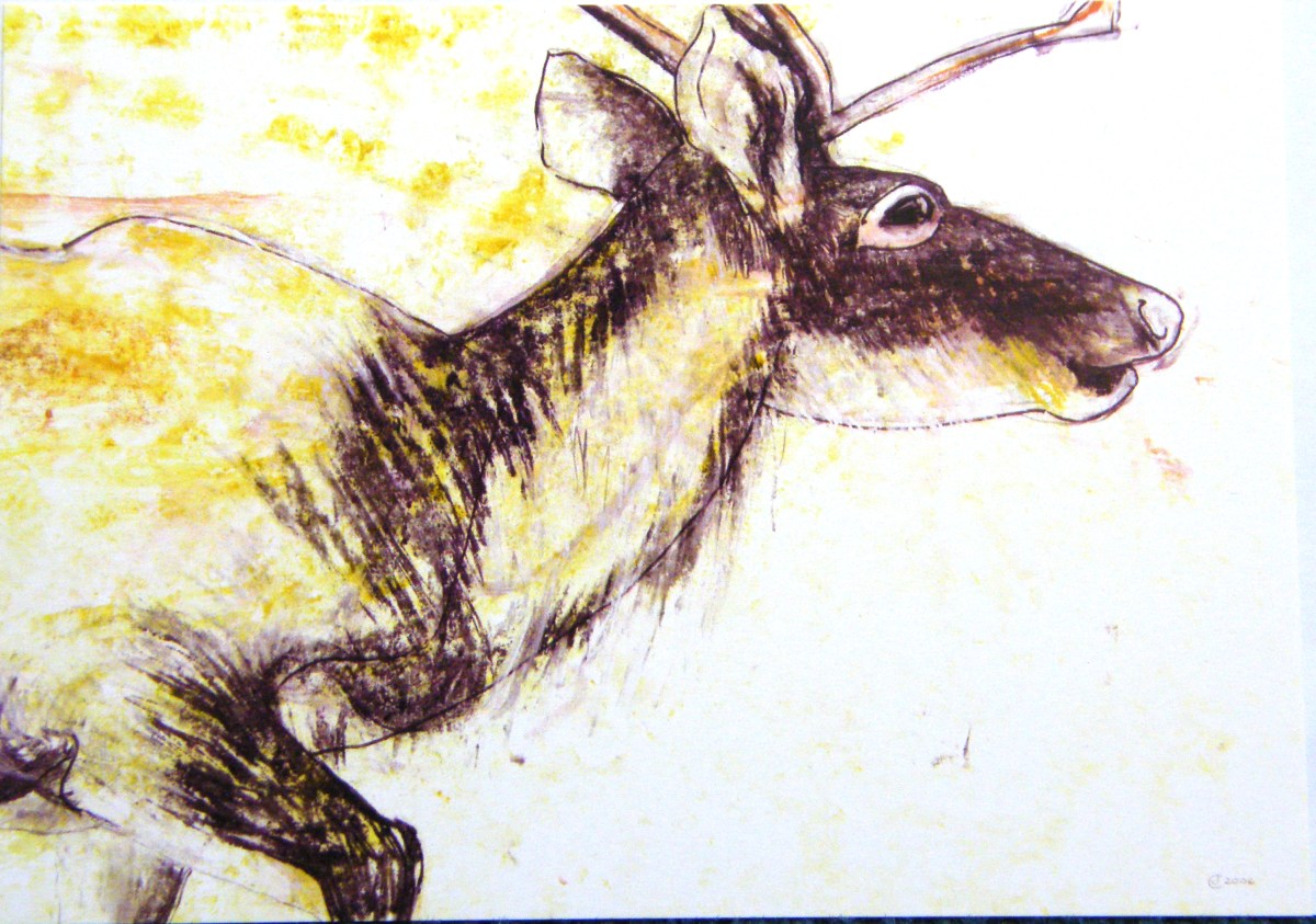 Drawing with colour of a Reindeer by artist Jilly Cobbe