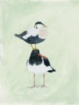 Painting of an Eider Duck atop an Oyster Catcher by artist Jilly Cobbe