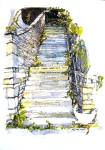 Detailed artwork of steps with a duck by artist Jilly Cobbe