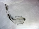 Drawing of a swan foot in detail by artist Jilly Cobbe